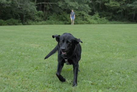 20250725_Dog Park et alia__DSC0171_.jpg