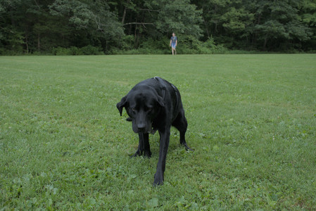 20250725_Dog Park et alia__DSC0172_.jpg