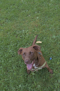 20250725_Dog Park et alia__DSC0200_.jpg