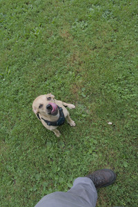 20250725_Dog Park et alia__DSC0207_.jpg