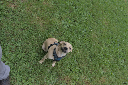 20250725_Dog Park et alia__DSC0208_.jpg