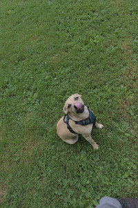 20250725_Dog Park et alia__DSC0209_.jpg