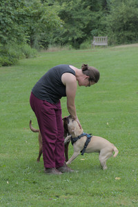 20250725_Dog Park et alia__DSC0221_.jpg