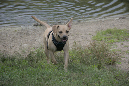 20250725_Dog Park et alia__DSC0227_.jpg