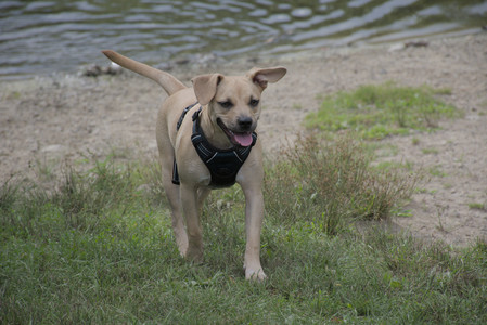 20250725_Dog Park et alia__DSC0228_.jpg
