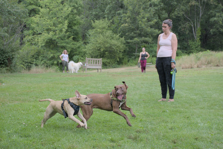 20250725_Dog Park et alia__DSC0251_.jpg