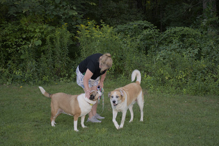 20250802_Dog park__DSC0046_.jpg