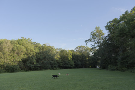 20250802_Dog park__DSC0076_.jpg