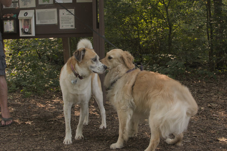 20250803_Dog Park__DSC0187_.jpg