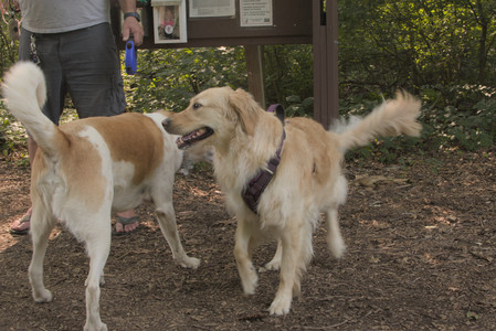 20250803_Dog Park__DSC0190_.jpg