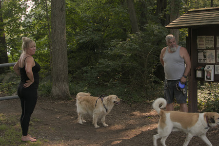 20250803_Dog Park__DSC0193_0.jpg