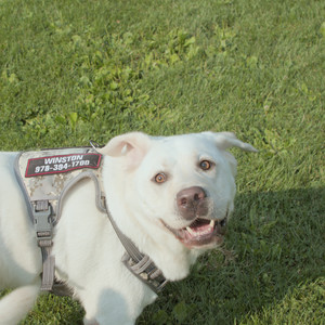 20250803_Dog Park__DSC0206_.jpg