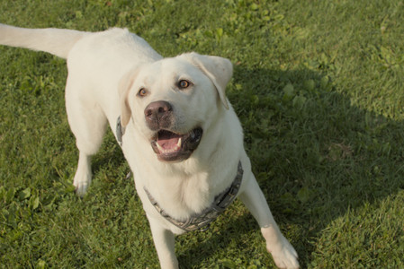 20250803_Dog Park__DSC0207_.jpg