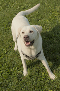 20250803_Dog Park__DSC0209_.jpg