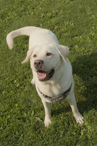 20250803_Dog Park__DSC0211_.jpg