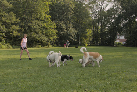 20250803_Dog Park__DSC0212_.jpg