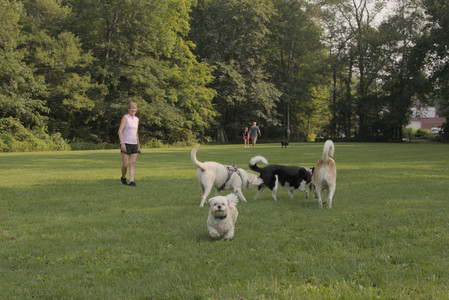 20250803_Dog Park__DSC0213_.jpg