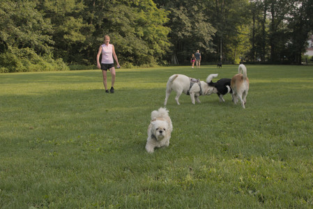 20250803_Dog Park__DSC0214_.jpg