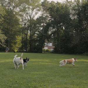 20250803_Dog Park__DSC0216_.jpg