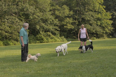 20250803_Dog Park__DSC0218_.jpg