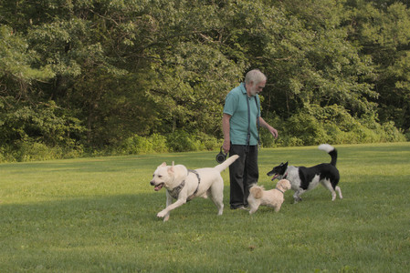 20250803_Dog Park__DSC0219_.jpg