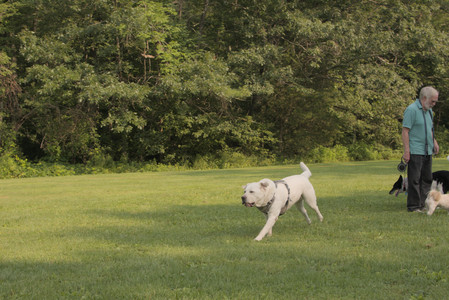20250803_Dog Park__DSC0220_.jpg