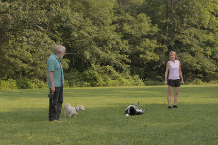 20250803_Dog Park__DSC0222_.jpg