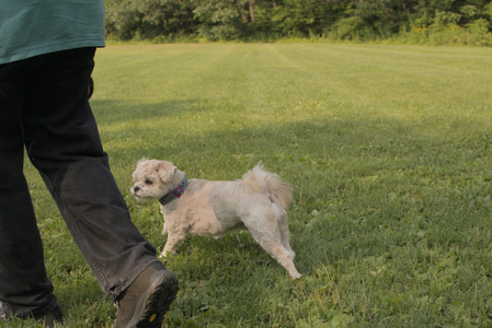 20250803_Dog Park__DSC0230_.jpg