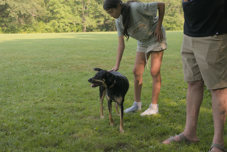 20250803_Dog Park__DSC0241_.jpg