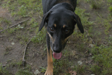 20250803_Dog Park__DSC0242_.jpg