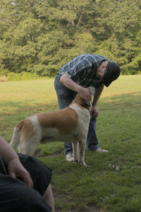 20250803_Dog Park__DSC0243_.jpg