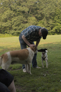 20250803_Dog Park__DSC0244_.jpg