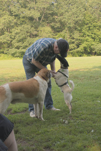 20250803_Dog Park__DSC0245_.jpg