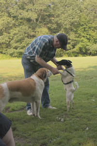 20250803_Dog Park__DSC0246_.jpg