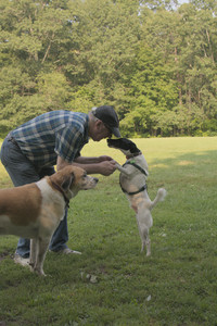 20250803_Dog Park__DSC0247_.jpg