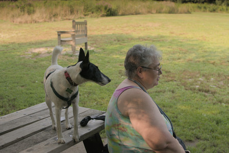 20250803_Dog Park__DSC0257_.jpg