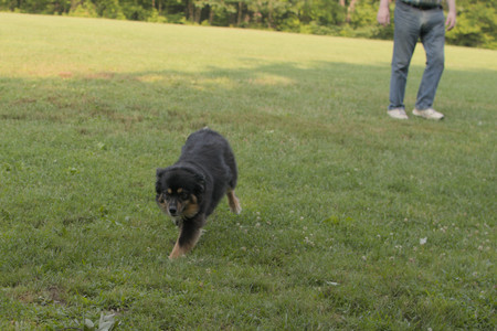 20250803_Dog Park__DSC0258_.jpg