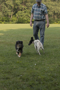 20250803_Dog Park__DSC0261_.jpg