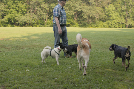 20250803_Dog Park__DSC0263_.jpg