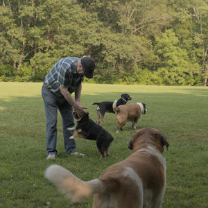 20250803_Dog Park__DSC0267_.jpg
