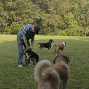 20250803_Dog Park__DSC0268_.jpg