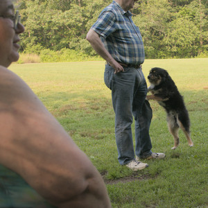 20250803_Dog Park__DSC0269_.jpg