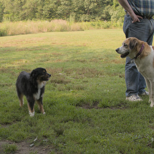 20250803_Dog Park__DSC0272_.jpg