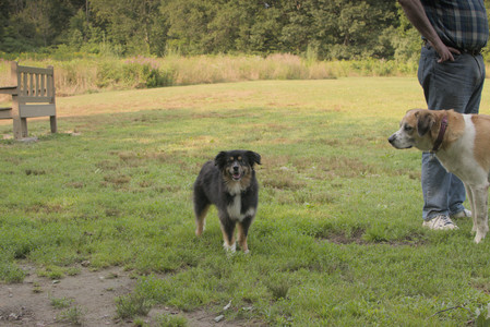 20250803_Dog Park__DSC0274_.jpg
