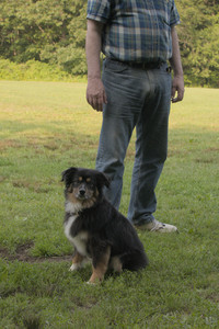 20250803_Dog Park__DSC0278_.jpg