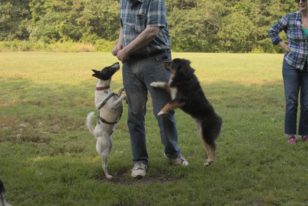 20250803_Dog Park__DSC0280_.jpg