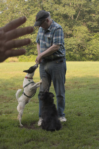 20250803_Dog Park__DSC0281_.jpg