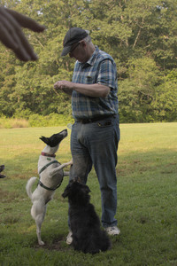 20250803_Dog Park__DSC0282_.jpg