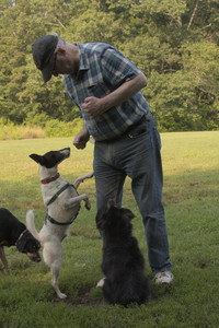 20250803_Dog Park__DSC0283_.jpg