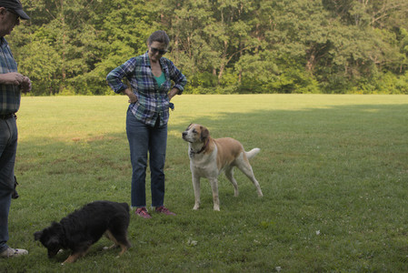 20250803_Dog Park__DSC0284_.jpg